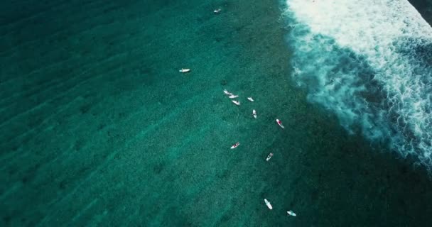 Surfistas em ondas do mar, vista aérea, Himmafushi ilha, Maldivas — Vídeo de Stock