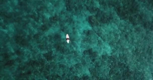 Veduta aerea di un surfista nelle acque turchesi di Laquedivas Sea, Maldive — Video Stock