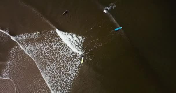 Вид с воздуха на серферов на песчаный прибрежный пляж — стоковое видео