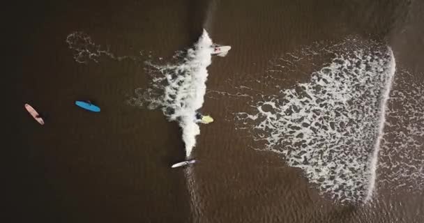 Aerial view of surfers on sandy coastal beach — Stock Video