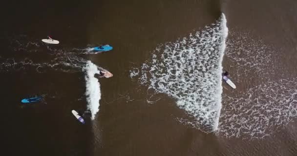 Luchtfoto van surfers op zandstrand — Stockvideo