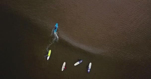 Aerial view of surfers on sandy coastal beach — Stock Video