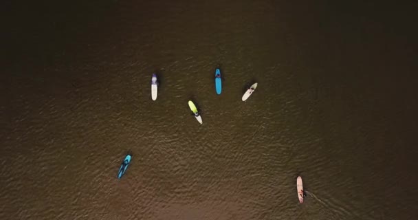 Flygfoto av surfare på sandstrand — Stockvideo