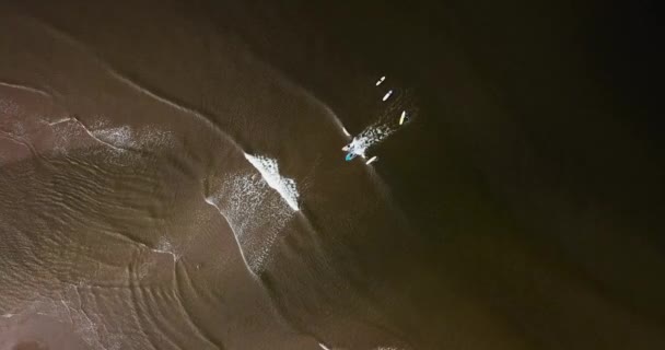 Vista aérea de los surfistas en la playa costera de arena — Vídeo de stock