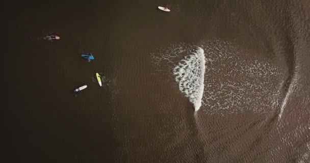砂浜の海岸のサーファーの空中ビュー — ストック動画