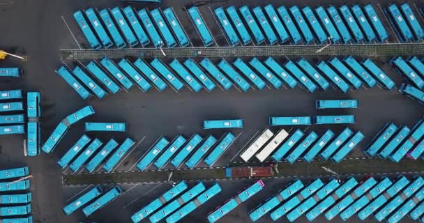 Aerial view of parking lot filled with blue buses — Stock Video