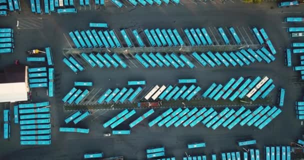 Вид з повітря на паркінг, заповнений синіми автобусами — стокове відео