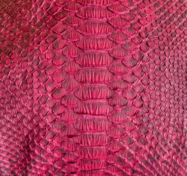 Yılan derisi arkaplanı