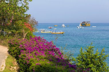 Lembongan Adası. Endonezya.