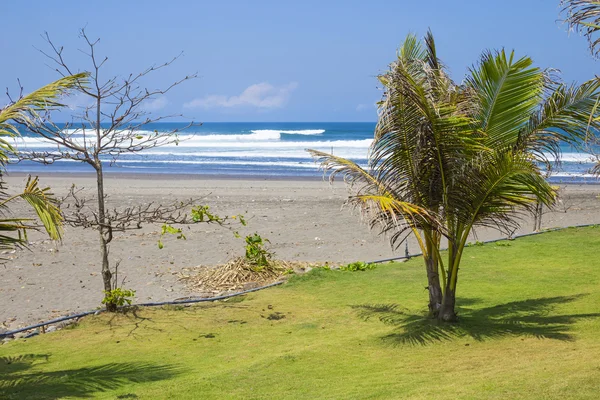 Незайманий піщаний пляж з пальмами та блакитним океаном на фоні — стокове фото