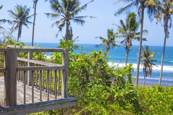 Незайманий піщаний пляж з пальмами та блакитним океаном на фоні — стокове фото