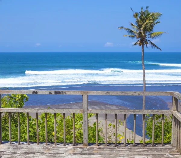 Untouched sandy beach with palms trees and azure ocean in background — Stock Photo, Image