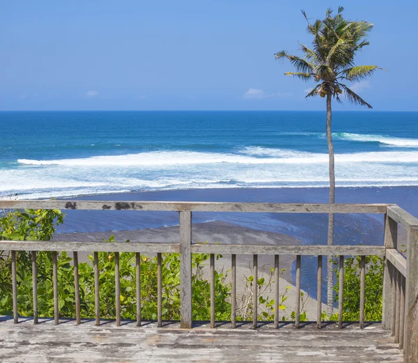 Untouched sandy beach with palms trees and azure ocean in background — Stock Photo, Image