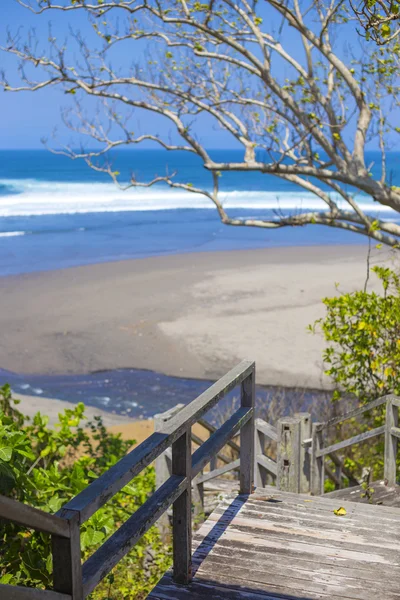 Scale per una spiaggia tropicale con piante esotiche e palme — Foto Stock