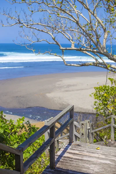 Merdiven egzotik bitki ve palmiye ağaçları ile tropikal bir plaj için — Stok fotoğraf