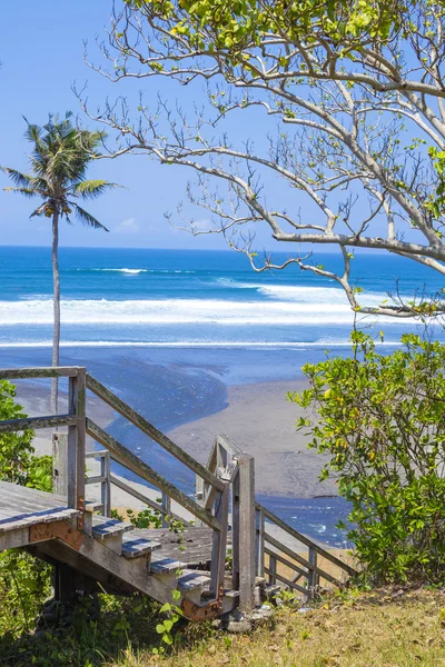 Escaliers menant à une plage tropicale avec des plantes exotiques et des palmiers — Photo