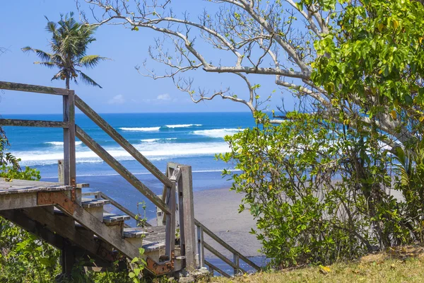 非接触式的沙滩与棕榈树和背景中的蔚蓝大海 — 图库照片
