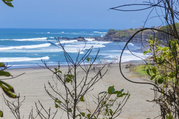 Untouched sandy beach with palms trees and azure ocean in background — Stock Photo, Image