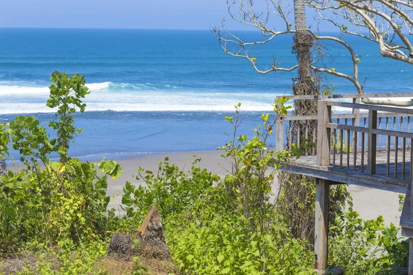 Untouched sandy beach with palms trees and azure ocean in background — Stock Photo, Image