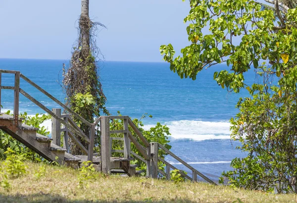 Stairs to a tropical beach with exotic plants and palm trees — Stock Photo, Image