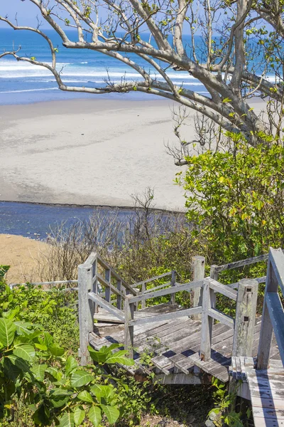 Schody na tropikalnej plaży z egzotycznych roślin i drzew palmowych — Zdjęcie stockowe