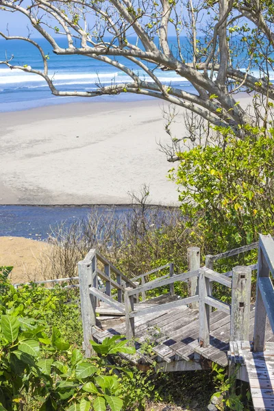 Escaliers menant à une plage tropicale avec des plantes exotiques et des palmiers — Photo