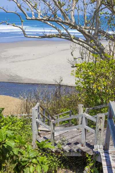 Лестница на тропический пляж с экзотическими растениями и пальмами — стоковое фото