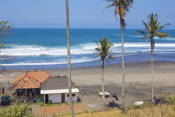 Unberührter Sandstrand mit Palmen und azurblauem Meer im Hintergrund — Stockfoto