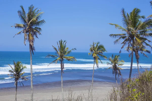 Нетронутый песчаный пляж с пальмами и лазурный океан на заднем плане — стоковое фото