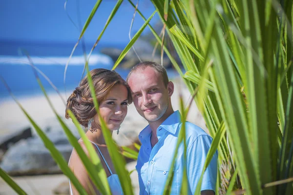 Casal amoroso casamento na costa do oceano . — Fotografia de Stock