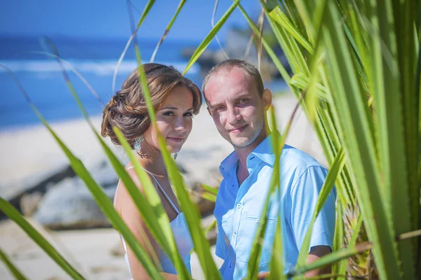 Liefdevolle bruidspaar aan Oceaan kust. — Stockfoto