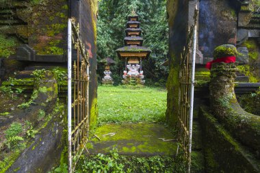 Bali Ubud, Endonezya tapınakta