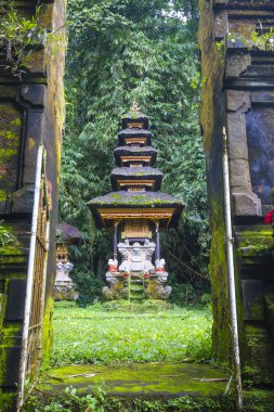 Bali Ubud, Endonezya tapınakta