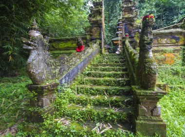 Bali Ubud, Endonezya tapınakta