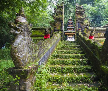 Bali Ubud, Endonezya tapınakta