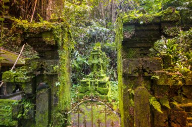 Bali Ubud, Endonezya tapınakta