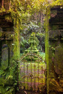Bali Ubud, Endonezya tapınakta