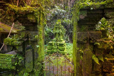Bali Ubud, Endonezya tapınakta