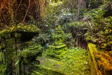 Bali Ubud, Endonezya tapınakta