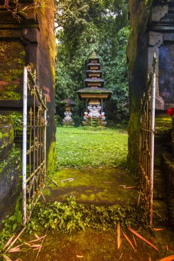 Bali Ubud, Endonezya tapınakta