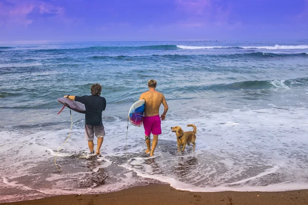 Surfistas na praia. — Fotografia de Stock