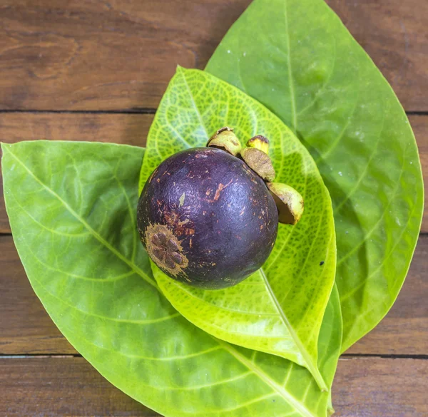 Mangostino singolo e foglia verde fresca — Foto Stock