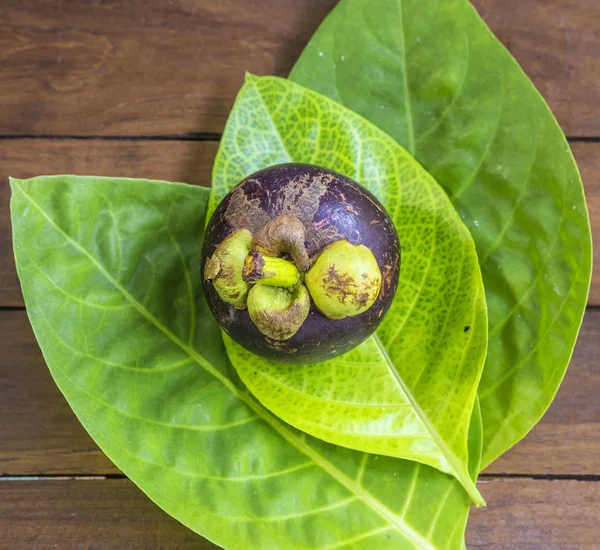 Mangostin único y hoja verde fresca — Foto de Stock