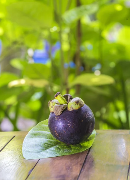 Mangostino singolo e foglia verde fresca — Foto Stock