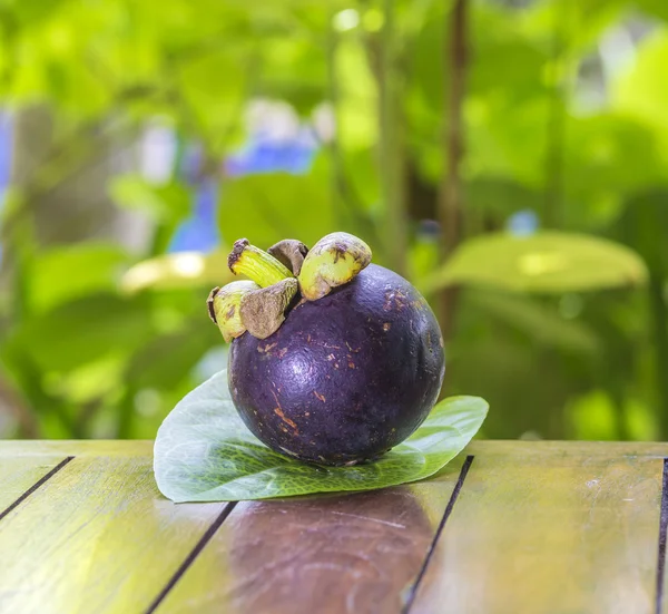 Mangostin único y hoja verde fresca — Foto de Stock