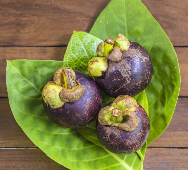 Mangostins ve taze yaprak yeşil