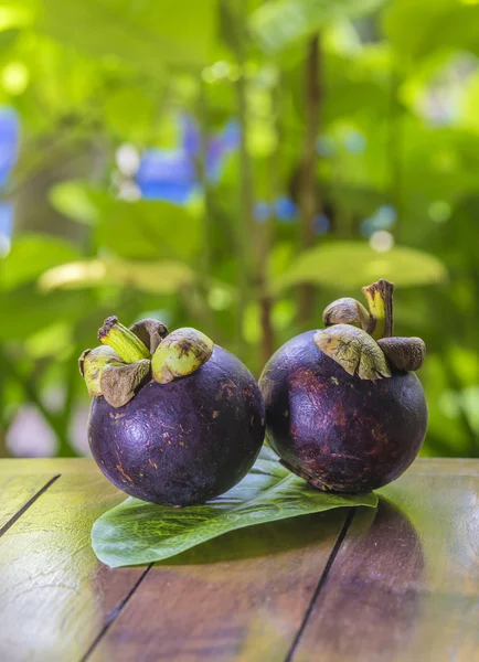 Mangostins と新鮮な緑の葉 — ストック写真