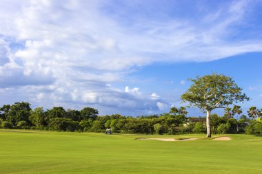 Yeşil Golf alanının güzel manzara