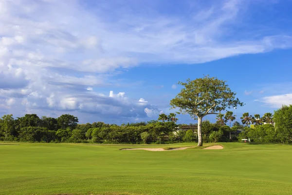 Vacker utsikt över gröna Golf fält — Stockfoto