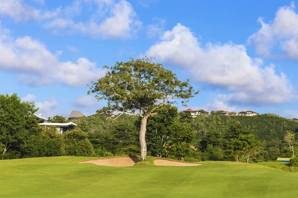 Vacker utsikt över gröna Golf fält — Stockfoto